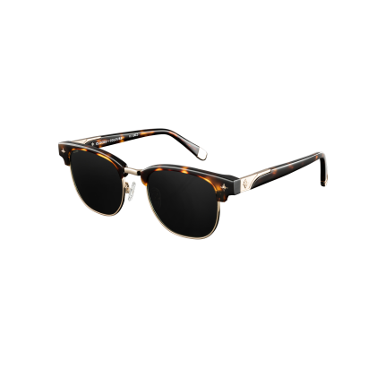 Day Tripper x Tortoise Shades by Clocks and Colours